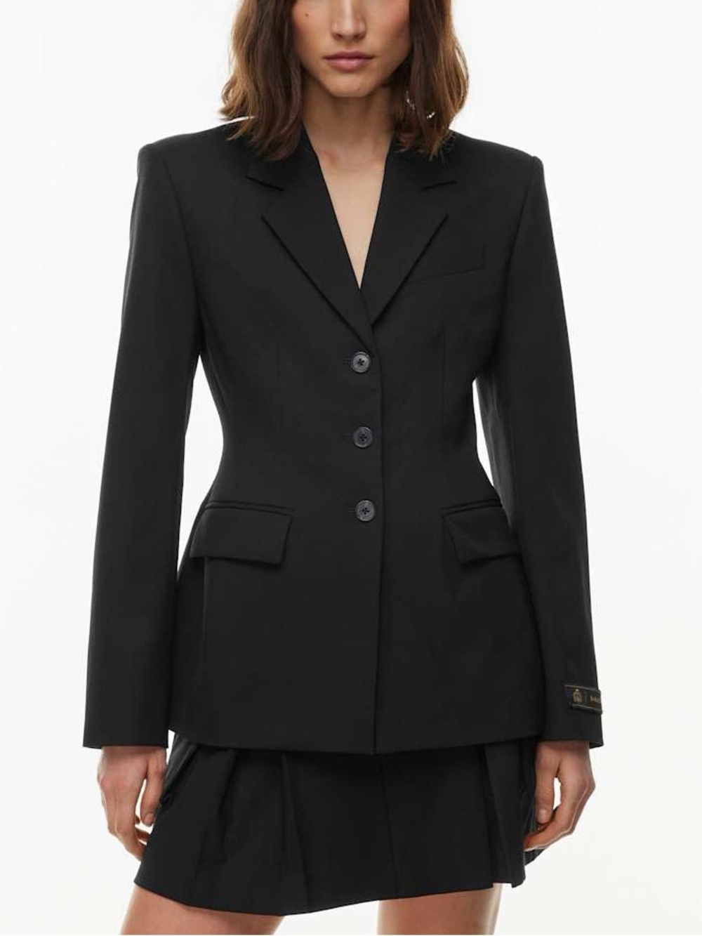 Babaton Standout Blazer